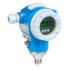 Endress Hauser Products for pressure measurement - Absolute and gauge pressure